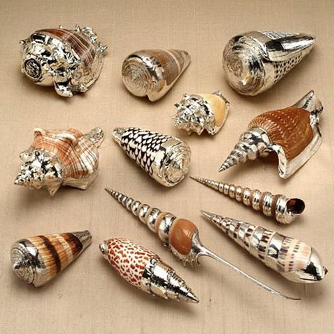 Painted Seashells