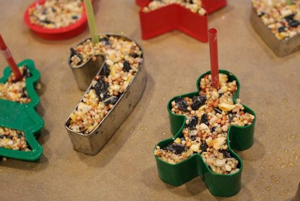 Bird Seed Ornaments