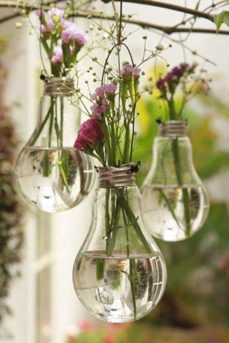 Bulb Vases