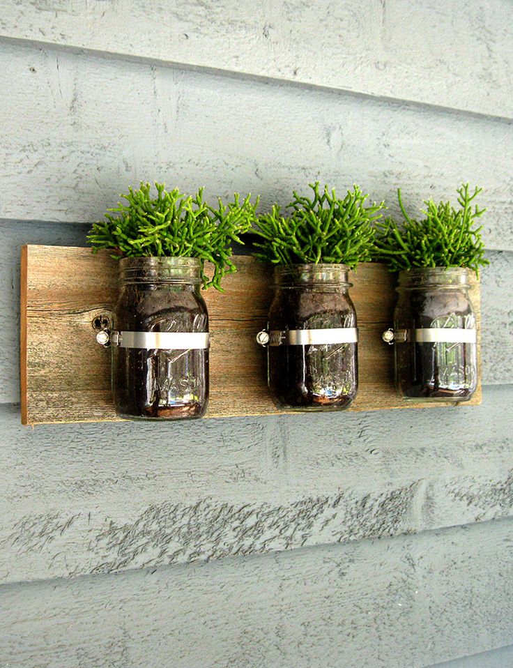 Mason Jar Gardens 13