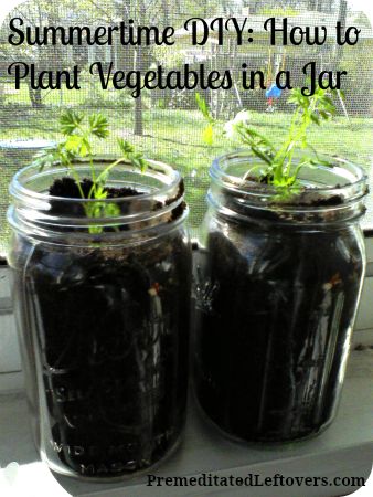 Mason Jar Gardens 16