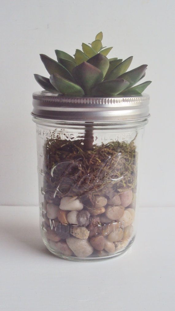 Mason Jar Gardens 19