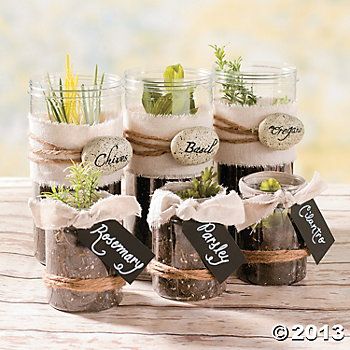 Mason Jar Gardens 20