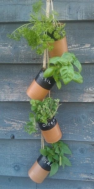 Mason Jar Gardens 4