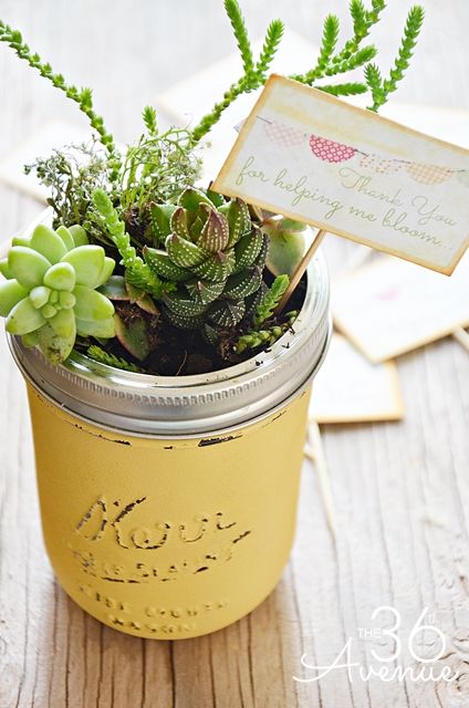 Mason Jar Gardens 5