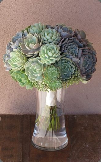 Succulent Bouquet