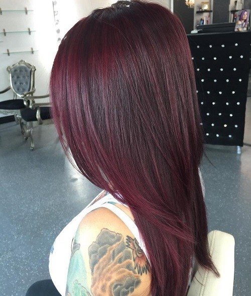 Burgundy Straight Hair