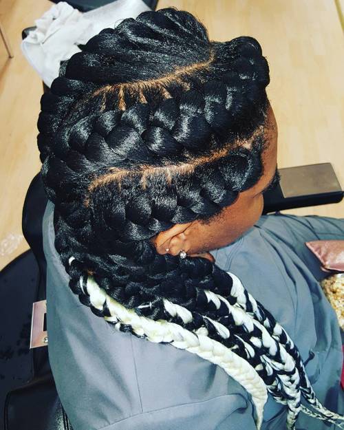 Highlighted Braids