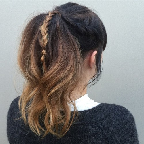 Braided Ponytail