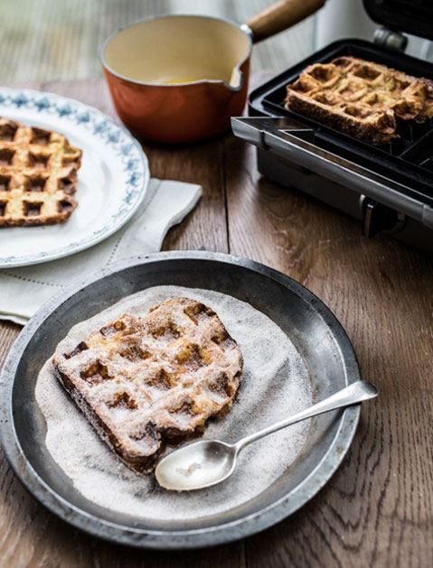 Waffle Iron Recipes