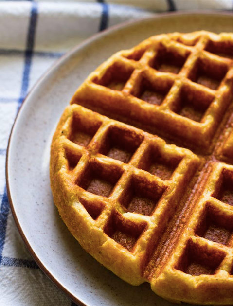 Waffle Iron Recipes