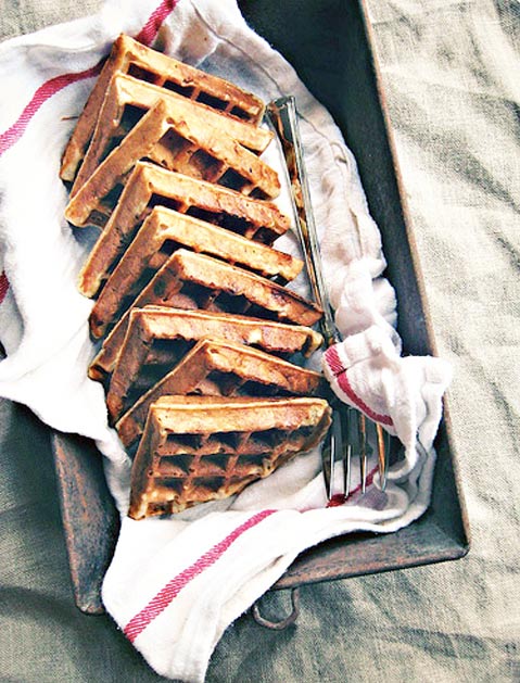 Waffle Iron Recipes