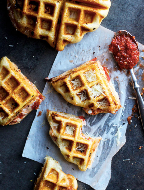 Waffle Iron Recipes