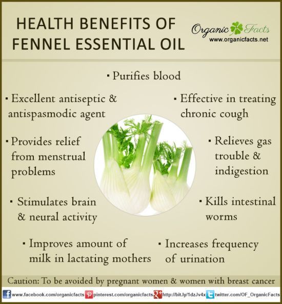 How to Use Essential Oils in Your Beauty Routine How to Use Essential Oils in Your Beauty Routine